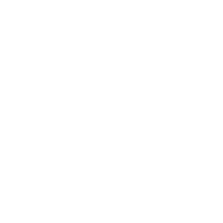 silmezs logo white transp